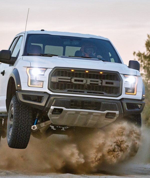 2017 Ford F-150 Raptor It’s one thing to describe the capabilities and features of the all-new 2017 Ford F-150 Raptor – the toughest, smartest, most capable F-150 Raptor ever. But nothing compares to seeing F-150 Raptor do what it does best. Professional driver on a closed course. Always consult the Raptor supplement to the owner’s manual before off-road driving, know your terrain, and use appropriate safety gear.